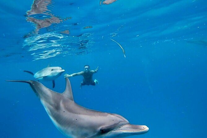 Create-Your-Own Luxury Adventure in Bimini with photographer - Experience the Best of Bimini with a Customizable Luxury Adventure