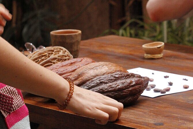 Create your own Oaxacan chocolate bar - Who Would Love This Experience?