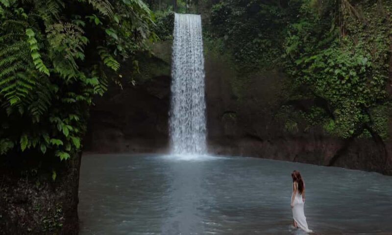 Create Your Own Ubud Itinerary  Private Tour - The Value of a Fully Customizable Tour