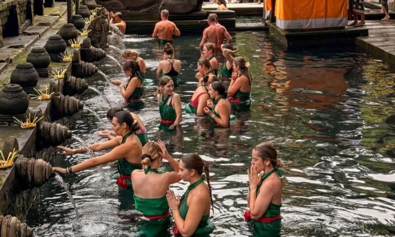 Create Your Own Ubud Itinerary Private Tour - Detailed Breakdown of the Tour Experience