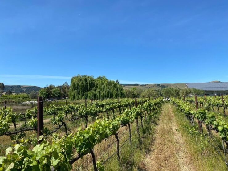Create Your Own Wine Blend Experience - Good To Know