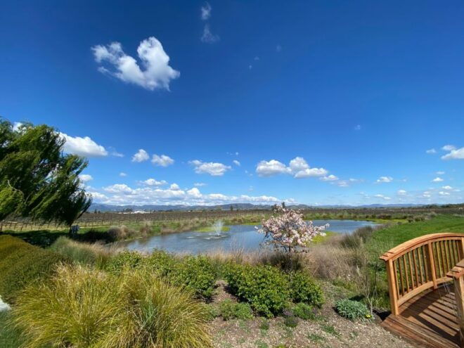 Create Your Own Wine Blend Experience - Explore the Vineyards of Sonoma Valley