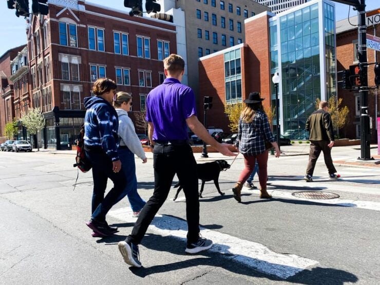 Creative Capital: Art and Architecture Tour of Providence - Pricing and Booking