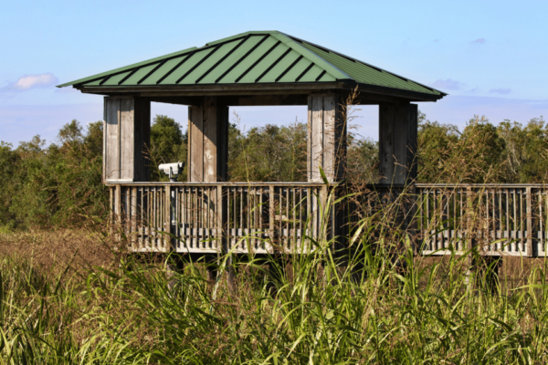 Creole Nature Trail: Ultimate Self-Guided Scenic Drive - Frequently Asked Questions