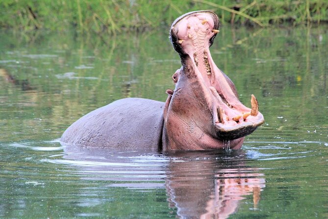 Crescent Island Game Sanctuary Day Tour From Nairobi - Directions