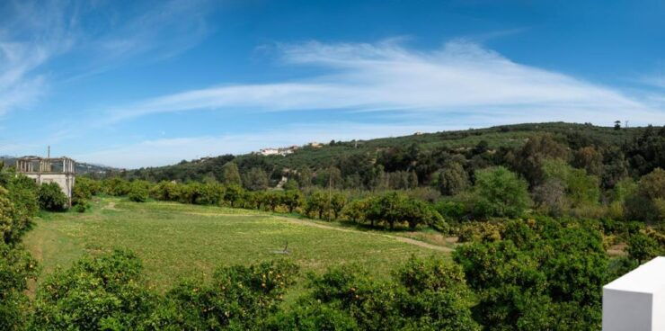 Cretan Beer Tasting Tour - Activity Details