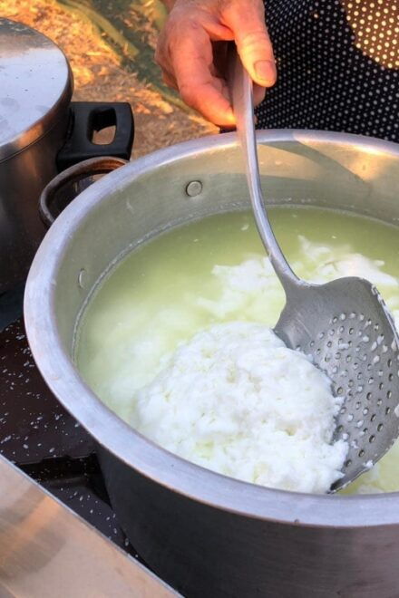 Cretan Farm Tour With Cheese-Making & Food Picnic - Directions