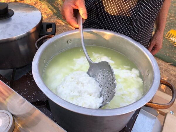 Cretan Farm Tour With Cheese-Making & Food Picnic - Includes