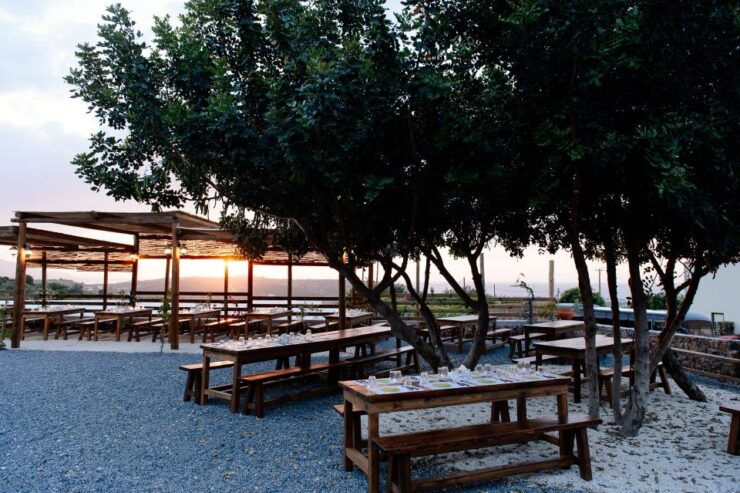 Cretan Farm With Scenic View: Olive Mill Festival & Dinner - Good To Know