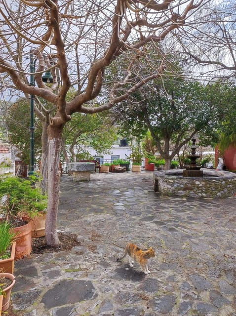 Cretan Traditional Village Assites, with food and drinks - FAQs