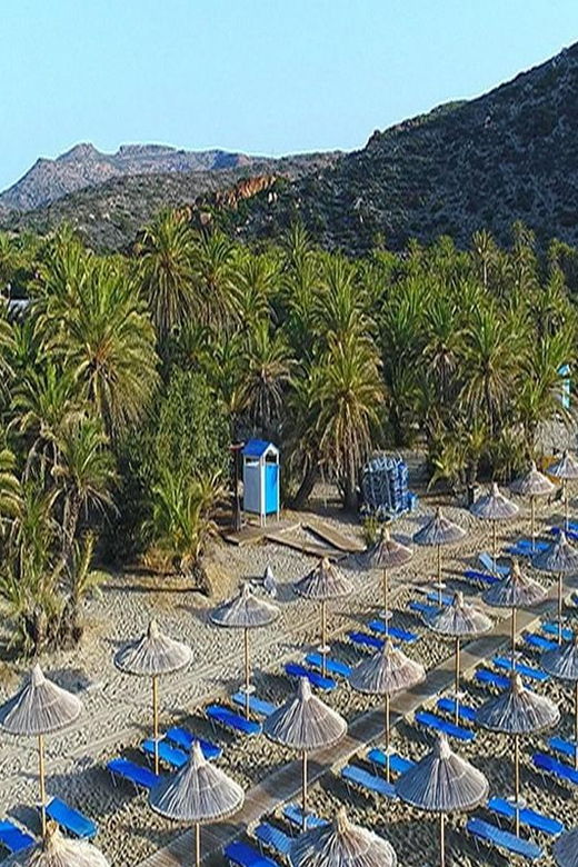Crete and Heraklion Areas: Direct Day Trip Vai Beach - Good To Know
