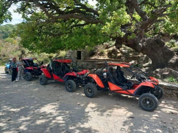 Crete Buggy Safari - Customer Review and Experience