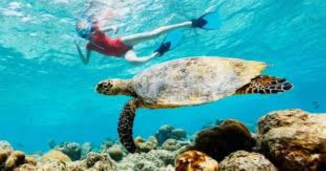 Crete: Coastline Snorkeling Cruise From Hersonissos Port - Important Travel Information