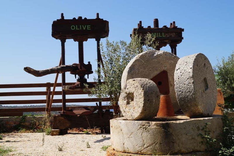 Crete: Cretan Folklore Night at Lyrakis Family Olive Mill - Who Will Love This Experience?