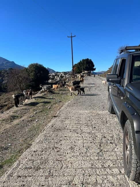 Crete: Explore Lassithi Plateau, Myths & Cretan Cuisine - FAQ