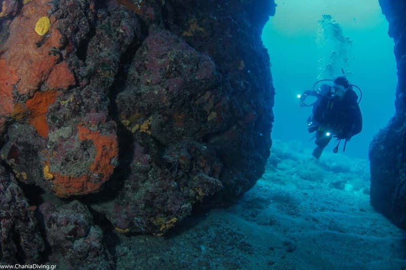 Crete: Guided Diving Experience for Certified Divers - Who Should Consider This Experience