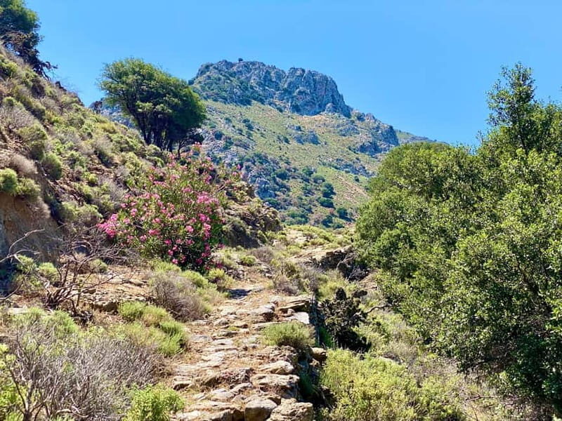 Crete: Guided Hiking Tour, Kavousi Canyon & Swimming - Who Will Enjoy This Tour?