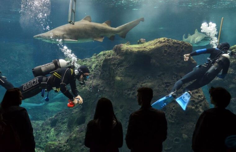 Crete: Heraklion Center, Local Market and Creta Aquarium - Authentic Insights from Reviews