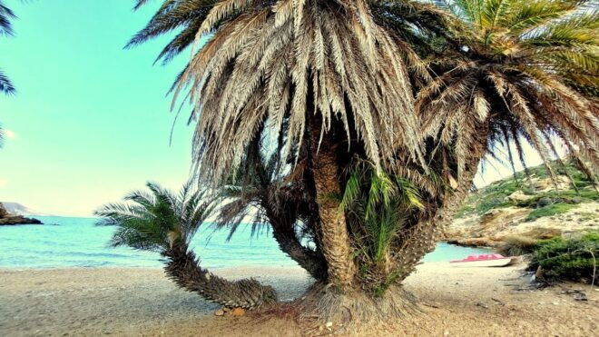 Crete: Hiking and Pleasure Trip Experience the Real Crete - Highlights of the Trip