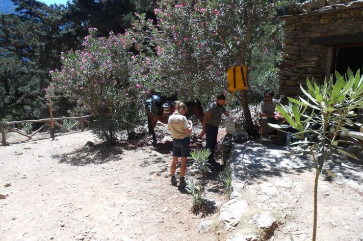 Crete: Hiking Tour in Samaria Gorge - Experience Highlights