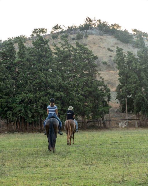 Crete Horse Riding: Cretan Countryside Ride - Description