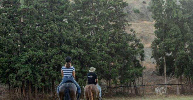 Crete Horse Riding: Cretan Countryside Ride - Inclusions
