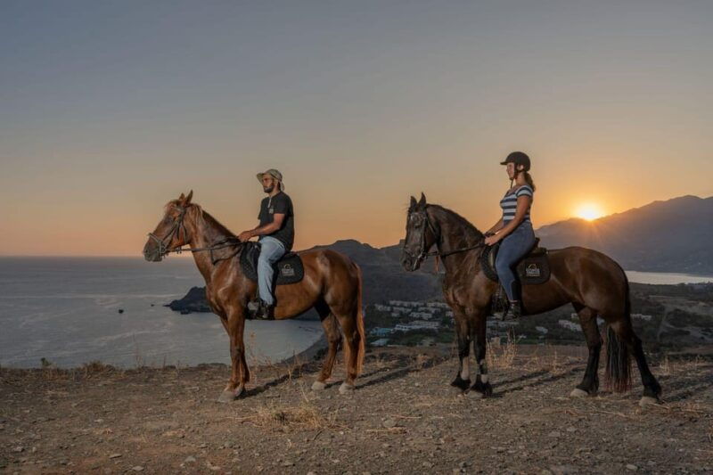 Crete Horse Riding: East Coastline Ride - Good To Know