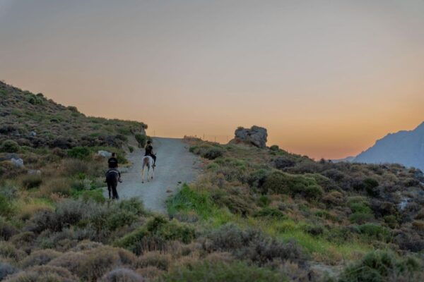 Crete Horse Riding: Mesmerizing Sunset Ride - Price and Duration