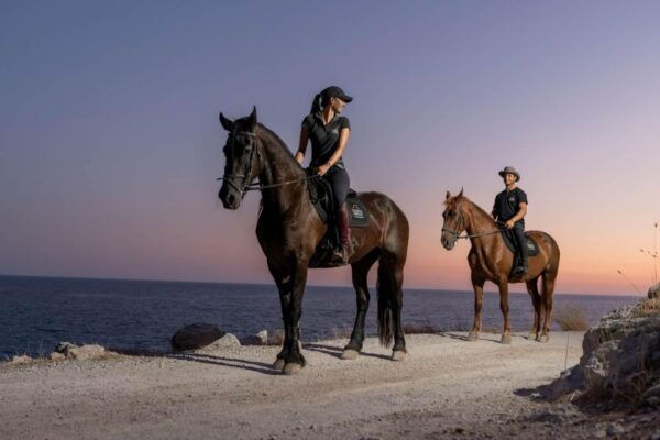 Crete Horse Riding: Mesmerizing Sunset Ride - Frequently Asked Questions
