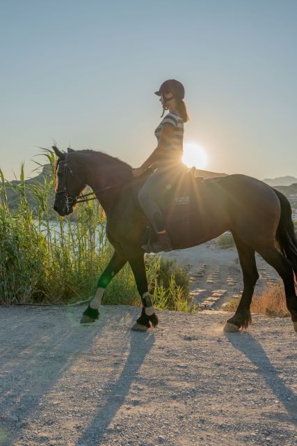 Crete Horse Riding: Mesmerizing Sunset Trip - Experience Highlights