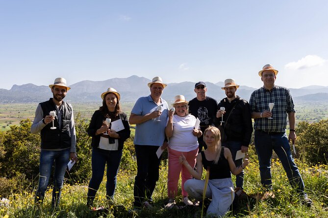 Crete: Hot Air Balloon Ride in Mini-Group - Professional and Knowledgeable Balloon Pilots