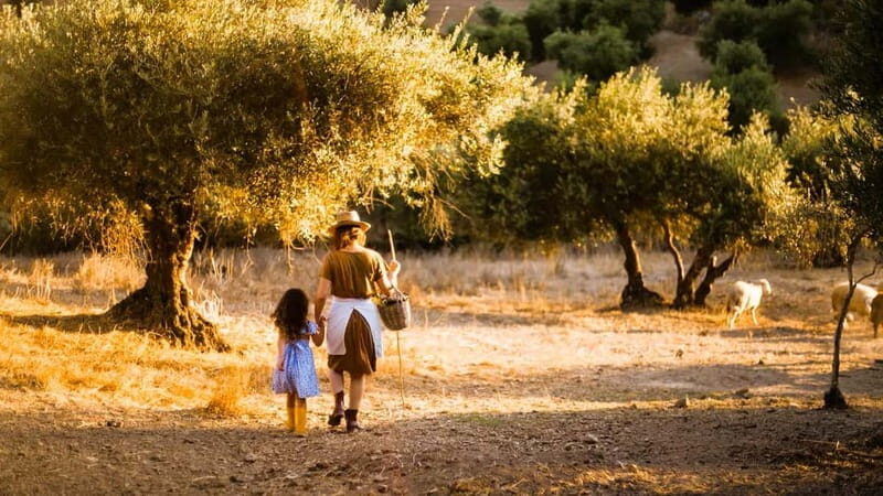 Crete: Knossos Palace, Olive Oil Tasting, and Heraklion Tour - Good To Know