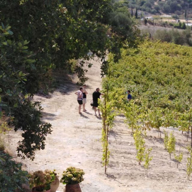 Crete: Kourkoulou Winery Tour & Cooking Classes - Transportation Options