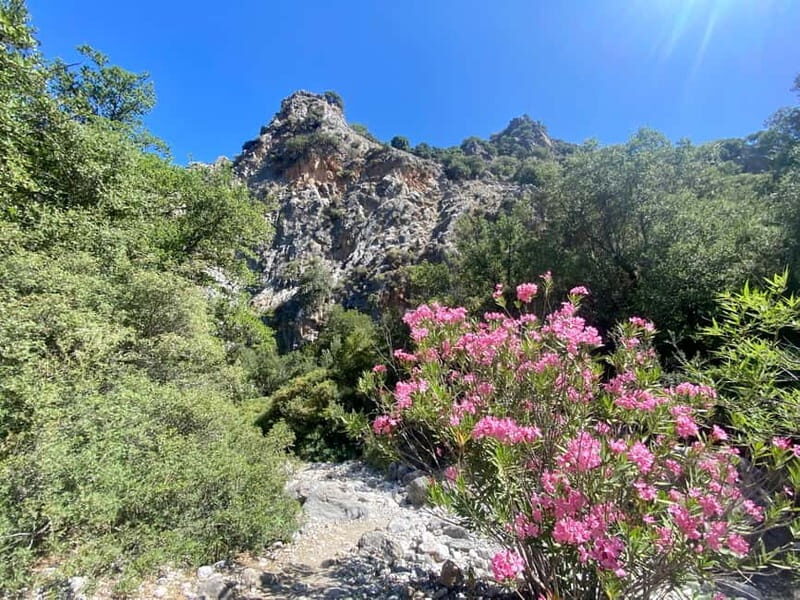 Crete: Kritsa Canyon Guided Hiking Tour - The Journey Through Crete’s Scenic Wonders