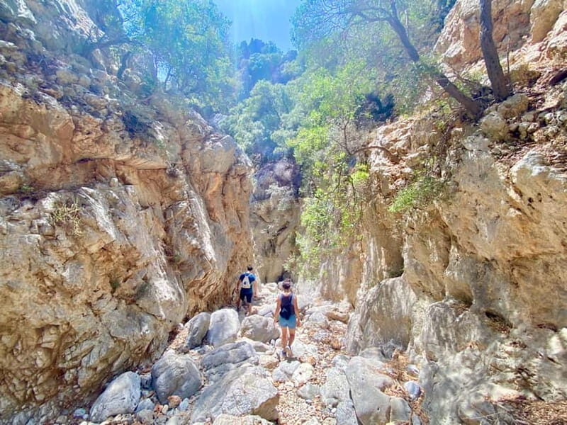 Crete: Kritsa Canyon Guided Hiking Tour - Who Is This Tour Best For?