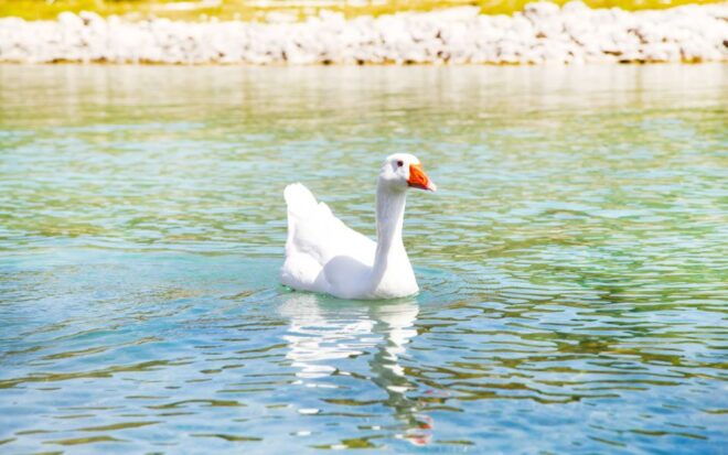 Crete: Lake Kournas, Argyroupolis, and Georgioupolis Trip - Important Information