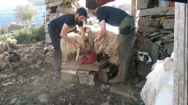 Crete: Land Rover Safari Nida Plateau Route - Culinary Delights