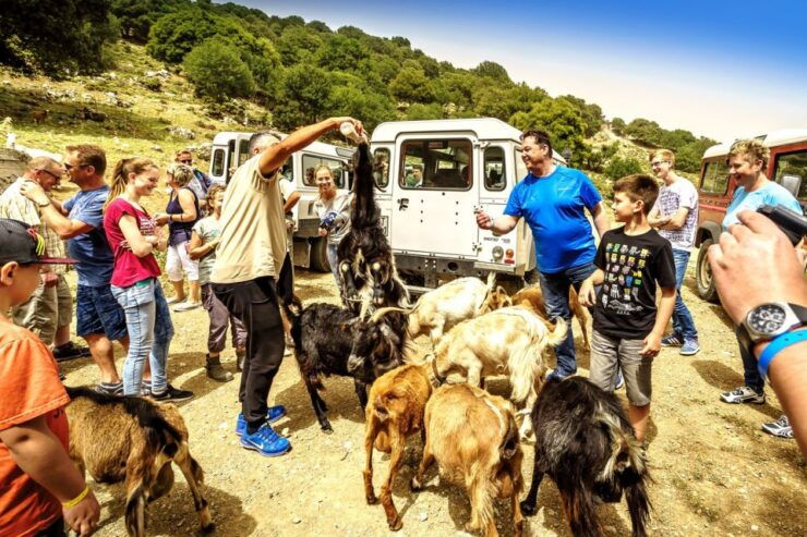 Crete: Land Rover Safari on Minoan Route - Good To Know