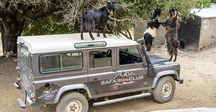 Crete: Land Rover Safari on Minoan Route - Safari Highlights