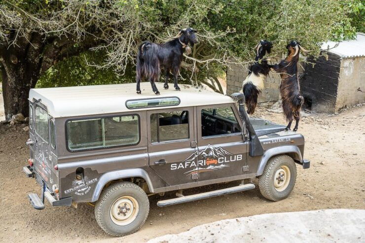 Crete: Land Rover Safari on Minoan Route - Experience Details