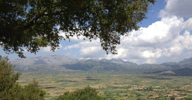Crete: Lasithi Plateau and Knossos Palace Day Tour - Booking Information