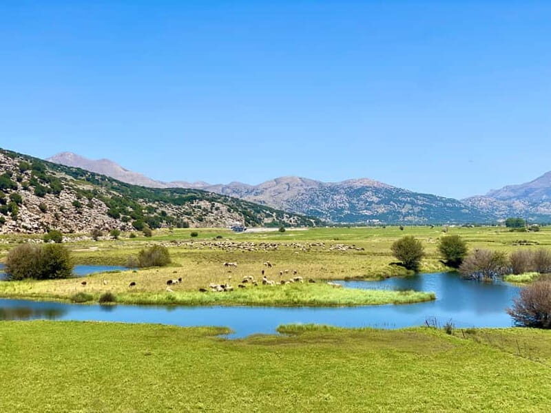 Crete: Lassithi Plateau Guided Hiking Tour - Why This Tour Is a Great Choice