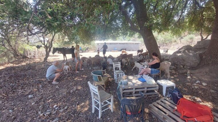 CRETE :MALIA HERSSONISOS QUADS ECOTOUR ADVENTURE - HIGH PERF - The Power and Performance of the Electric ATVs