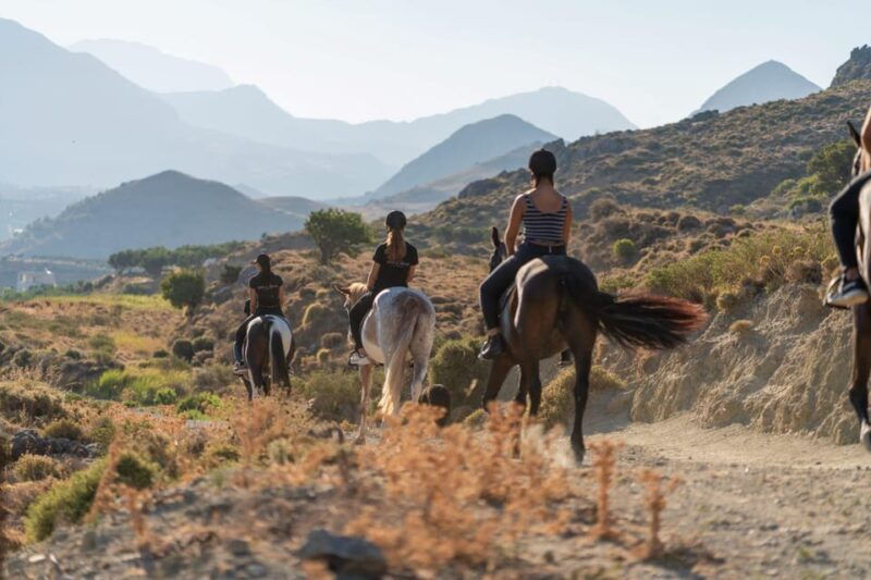 Crete: Plakias Panorama Horse Riding Trip - The Horses and Guides: Making the Experience Safe and Enjoyable