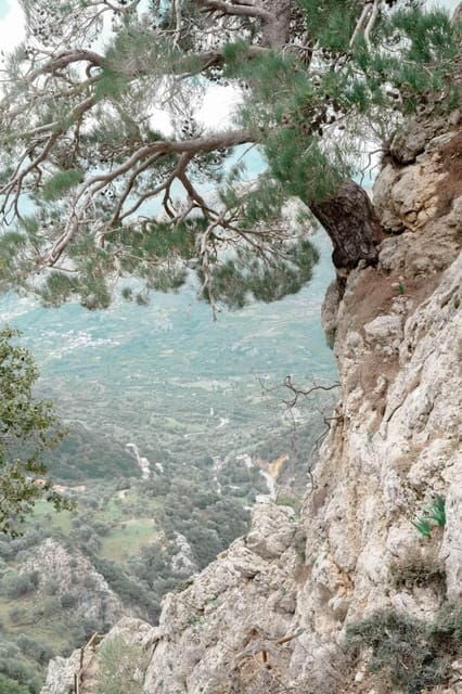 Crete: Platanion Gorge Hiking Tour With Traditional Lunch - Inclusions of the Tour