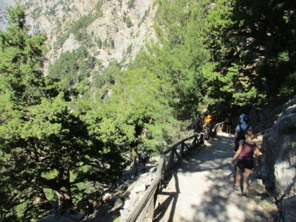 Crete: Private Guided Trek to Samaria Gorge With Transfer - The Sum Up