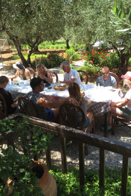 Crete Quad Safari Off-Road,Breathtaking Scenery&Amazing View - Participant Eligibility Criteria