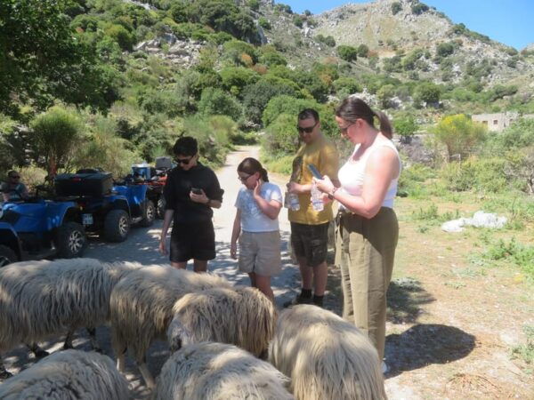 Crete Quad Safari Off-Road,Breathtaking Scenery&Amazing View - Booking and Cancellation Policies
