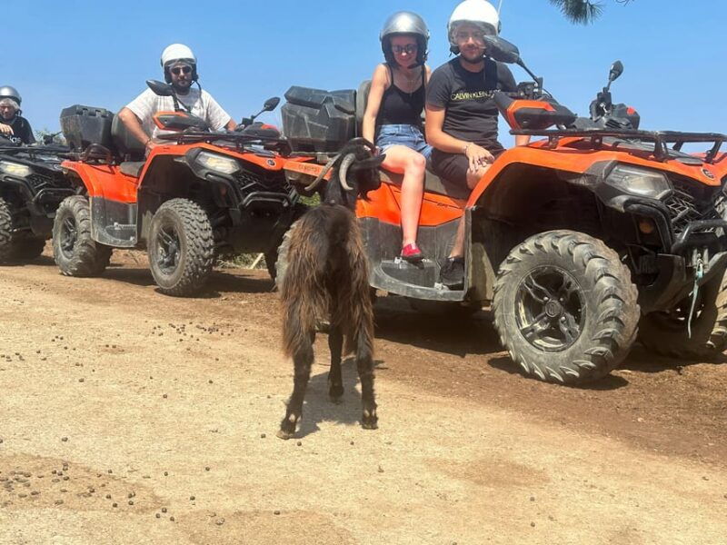 Crete: Quad Safari, Olive Mill with Tasting & Ghost Village - The Itinerary in Detail
