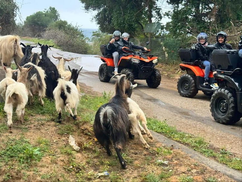 Crete: Quad Safari with Ghost Town Exploration - The Itinerary in Detail
